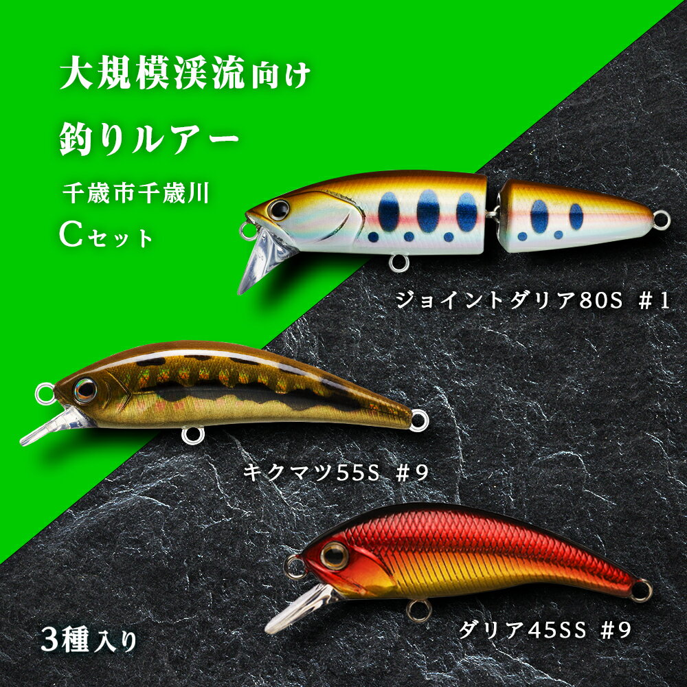 【ふるさと納税】大規模渓流向け釣りルアー「千歳市千歳川Cセット」ルアー 釣り具 スポーツ 釣り 北海道ふるさと納税 ふるさと納税 北海道 千歳市 【北海道千歳市】ギフト ふるさと納税