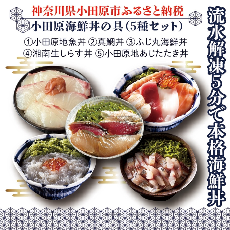 
【曽我の梅干し、小田原地あじ、小田原港直送地魚丼、大磯港直送湘南生しらす】小田原海鮮丼の具（5種セット）【ふじ丸海鮮丼 湘南生シラス丼 小田原地魚丼 小田原地あじたたき丼 国産活〆真鯛丼 神奈川県 小田原市 】

