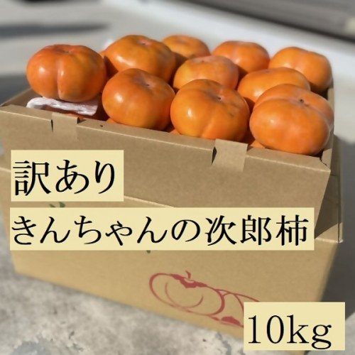 柿づくり40年以上　きんちゃん農園の訳あり次郎柿　10kg　KCN-03