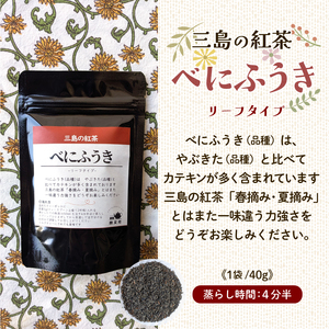 リーフ紅茶 2種 飲み比べセット 90g（40g＋50g） 国産 栽培期間中 農薬不使用 紅茶