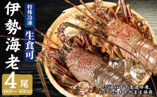 冷凍 伊勢海老 大 4尾 600~800g/1尾 イセエビ エビ 海老 甲殻類 急速冷凍 刺し身 刺身 魚 海鮮 おかず 酒 のあて おつまみ 弁当 塩 魚介 惣菜 規格外 食品 冷凍食品 グルメ 贈答 贈り物 プレゼント ギフト お取り寄せ ふるさと納税 送料無料 千葉県 銚子市 飯田水産株式会社