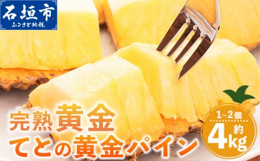 
                  【先行予約】完熟黄金 てとの黄金パイン 大玉 約4kg | 沖縄 石垣 ゴールデン 黄金 パイン パイナップル 完熟 大玉 セット フルーツ デザート
                