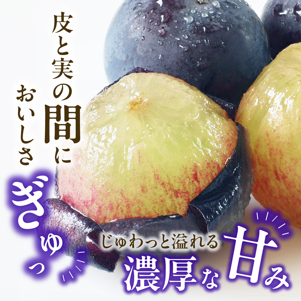 【2025年発送分 先行受付スタート】岡山県産 白桃とニューピオーネのセット（令和７年7月以降発送）【 白桃 ニューピオーネ セット 詰合せ フルーツ 果物 もも 桃 モモ 葡萄 ぶどう ブドウ 岡山