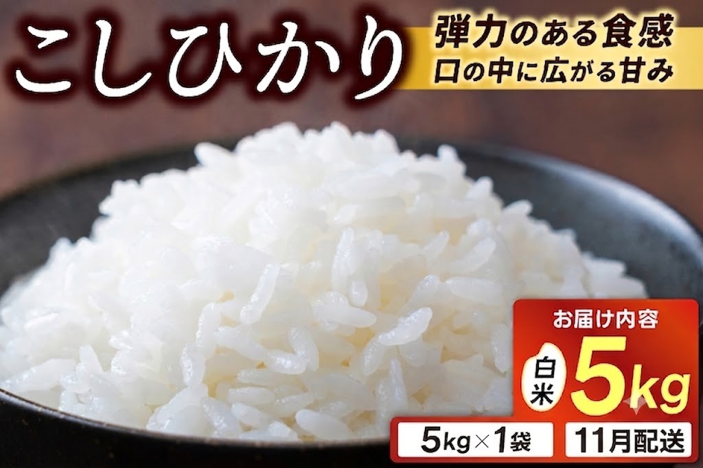 
                  ＼先行予約・11月より順次発送／★令和8年産★山﨑観光農園のお米　コシヒカリ　白米5kg｜ 益子町 お米 コシヒカリ 白米 精米 5kg（AU044-11）
                