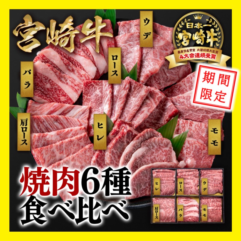 【期間限定・生産者応援】宮崎牛 ヒレ含む6種盛り焼肉食べ比べセット600ｇミヤチク 内閣総理大臣賞４連続受賞 4等級以上＜2-8＞宮崎牛 牛肉 黒毛和牛 国産 希少部位 西都市