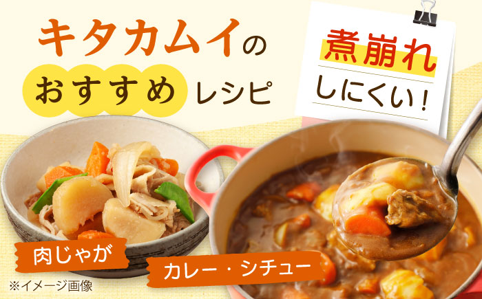 【2026年11月上旬以降順次発送】 じゃがいも キタカムイ（まっかりじゃが）10kg | 野菜 じゃがいも ジャガイモ キタカムイ 北海道 産地直送 | 道の駅 真狩フラワーセンター [BPAM04