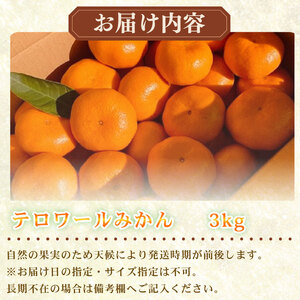 【先行予約】みかん 果樹園直送 テロワールみかん 3kg