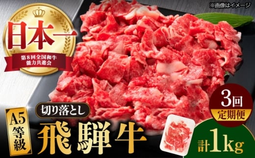 【3回定期便】【飛騨牛】A5等級 切り落とし 1kg × 3回 (計3kg) 和牛 ブランド牛 国産 牛肉 多治見市 / 渡辺精肉店 [TAZ015]