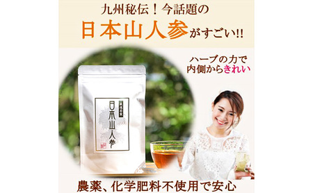 ★希少★日本山人参茶＆パウダーで健康に！ティーバッグ30包×2袋 パウダー40g×3袋 農薬不使用 飲料類 お茶 野菜 抹茶 ヨーグルト ハーブの力 化学肥料不使用 