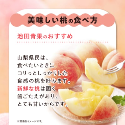 桃 約2kg (5玉~8玉) 厳選 ! 池田青果の もも【配送不可地域：離島・沖縄県】