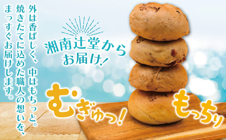 ベーグル 12個 詰め合わせベーグル 「muginami BAKERY」