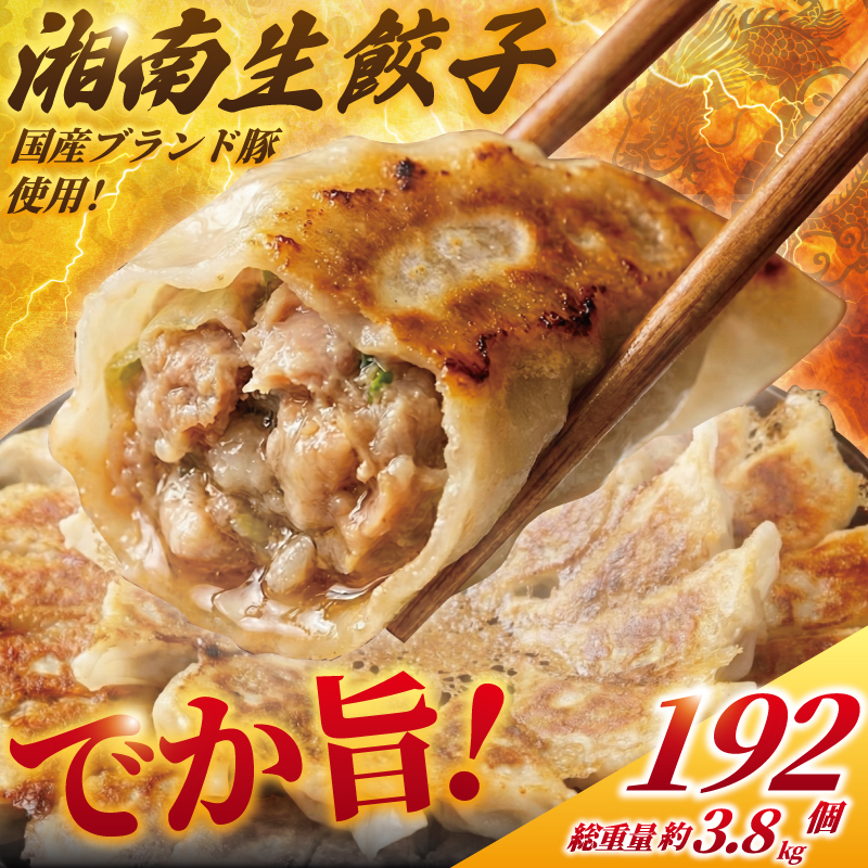 餃子 192個 (48個 × 4 パック) 国産 湘南餃子 肉汁たっぷり 国産