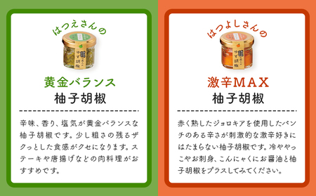 熊本県山江村の達人のゆず胡椒 5本セット 鷹乃産業有限会社《30日以内に出荷予定(土日祝除く)》柚子 ゆず ユズ こしょう 胡椒 柚子胡椒 セット