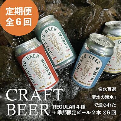 【ふるさと納税】【発送月固定定期便】Sankaku Beer Works クラフトビール定期便全6回【配送不可地域：離島】【4084792】