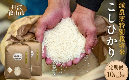 【定期便3回】令和7年産 丹波篠山市 コシヒカリ 特別栽培米 10kg×3回 低温貯蔵 香り豊か 旨み抜群 お米 こめ コメ 兵庫県