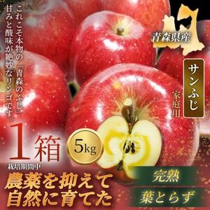 【青森直送 季節の味覚をお届け!】サンふじ 5kg×1箱(家庭用)青森産 産地直送 限定生産【配送不可地域：離島】【1700922】