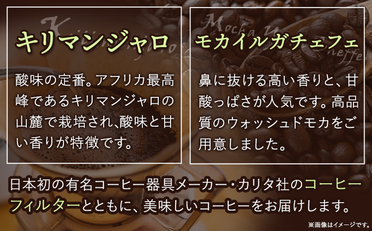 自家焙煎コーヒー豆（キリマンジャロ・モカイルガチェフェ）各300gフィルター100枚セット厳選館《90日以内に出荷予定(土日祝除く)》---wsh_gsk21_90d_24_12000_300g---