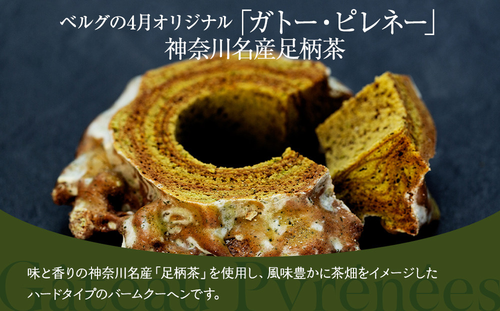 【ベルグの4月】ガトー・ピレネー　神奈川名産足柄茶