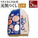 【ふるさと納税】フタエさんのお米 元気つくし 白米 5kg 米 お米 精米 うるち米 福岡県産 九州産 送料無料