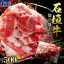 【ふるさと納税】石垣牛・切り落とし 500g　冷凍便 冷凍便 ｜ 沖縄県 石垣市 牛肉 お肉 切落し 小間切れ 牛小間切れ 送料無料 SI-88