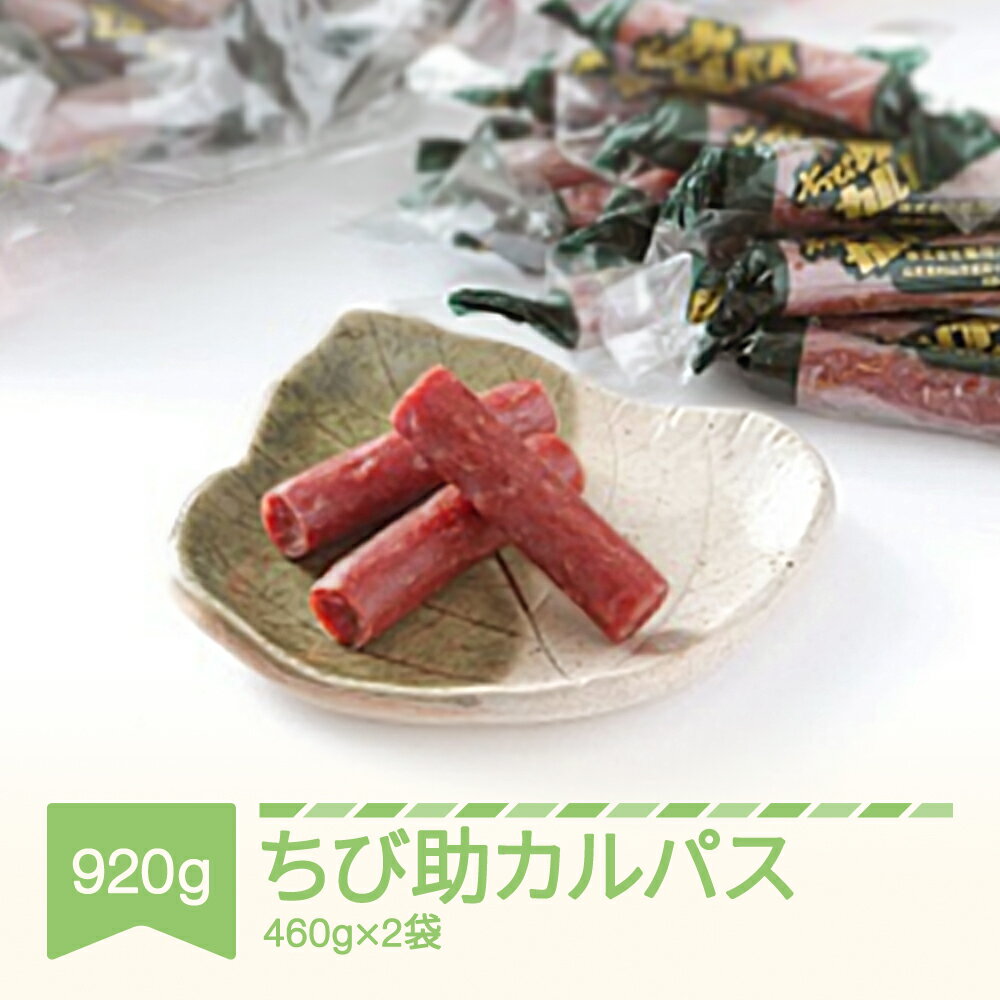 【ふるさと納税】匠こだわり ちび助カルパス 詰合せ おつまみ