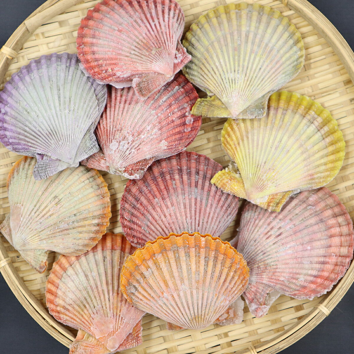 【ふるさと納税】【冷凍】プロトン ヒオウギ貝 貝 10枚 （株）日本海隠岐活魚倶楽部