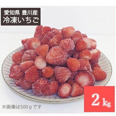 【ふるさと納税】冷凍いちご　紅ほっぺ1kg入り×2袋　計2kg【配送不可地域：離島】【1560913】