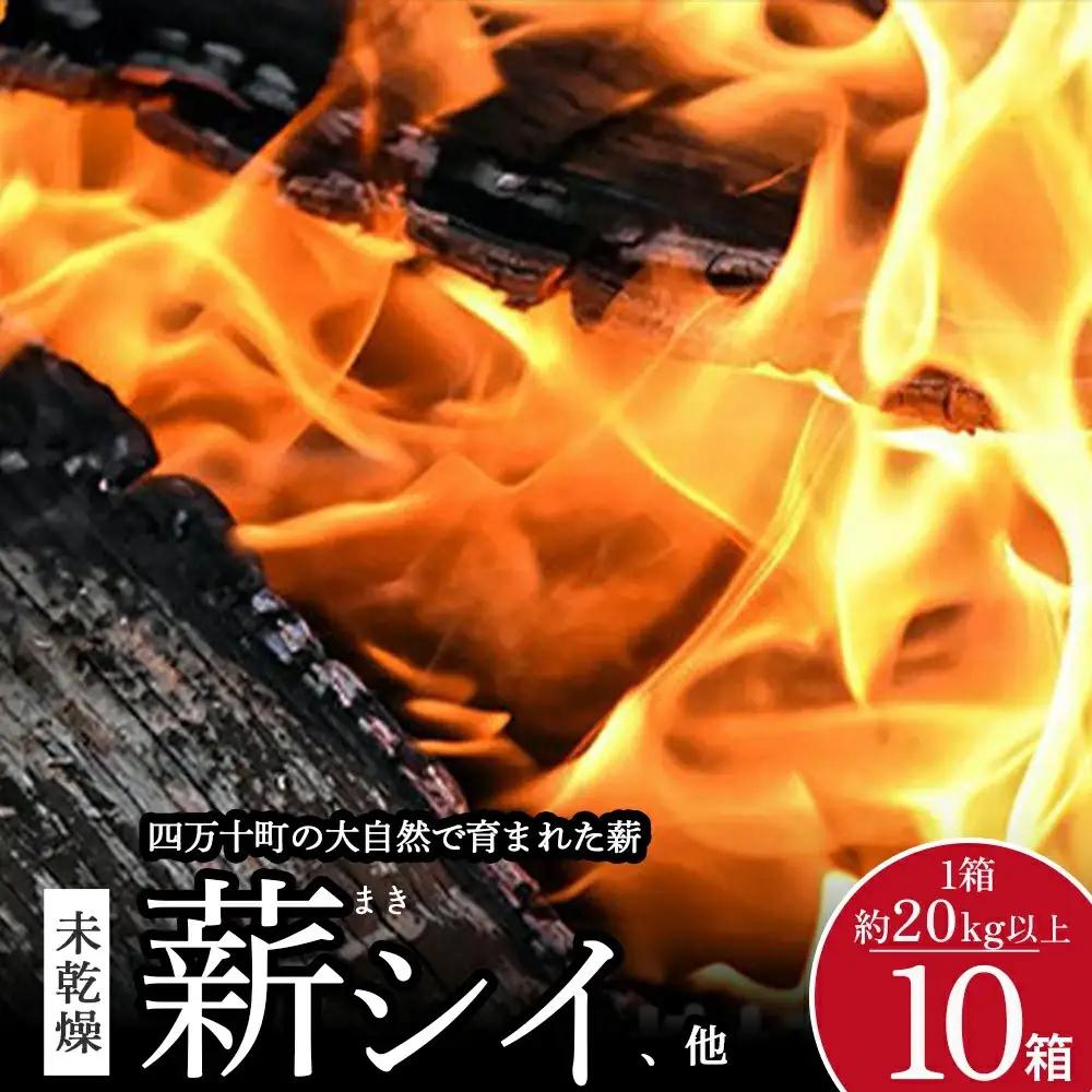 四万十の薪　未乾燥　シイ他(20kg以上)×10箱　Bnm-23 四万十の薪　未乾燥 キャンプ 薪ストーブ ストーブ 薪割り 割り薪 まき 乾燥 済 アウトドア キャンプ ファイヤー 焚き火 焚火 森林 林業 木 サウナ 薪 薪 薪