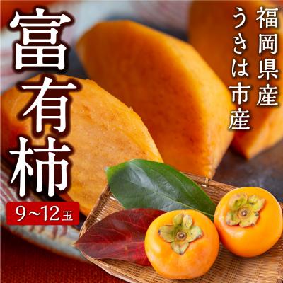 ふるさと納税 うきは市 柿屋うちやま 富有柿 9玉から12玉