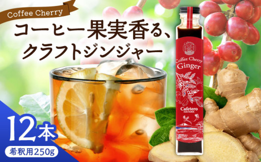 【先行予約】【2025年7月中旬から順次発送】カフェテーロ葉山　コーヒーチェリージンジャー　250g×12本 / コーラ エナジードリンク 酸味 コーヒー  神奈川県 葉山町 クラフトコーラ 天然 ドリンク 炭酸県【合同会社エンディレクト】 [ASBM004]