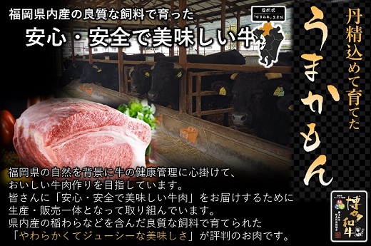 DB004.【全3回定期便】博多和牛肩ローススライス400g【博多和牛】