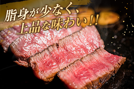 訳あり 数量限定 黒毛和牛 ヒレ ステーキ 計360g_DA39-25