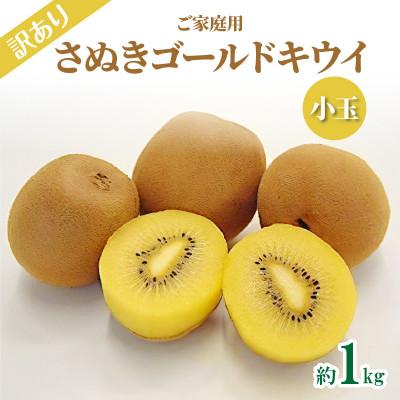 ふるさと納税 高松市 ご家庭用さぬきゴールドキウイ　約1kg