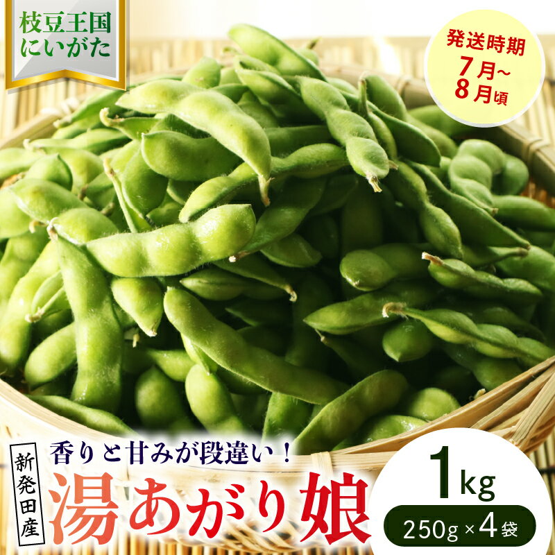 【ふるさと納税】 根強い人気の枝豆！ 湯あがり娘 1kg【 先行予約 予約 茶豆 枝豆 新潟産 湯あがり娘 1kg 数量限定 seida020 】