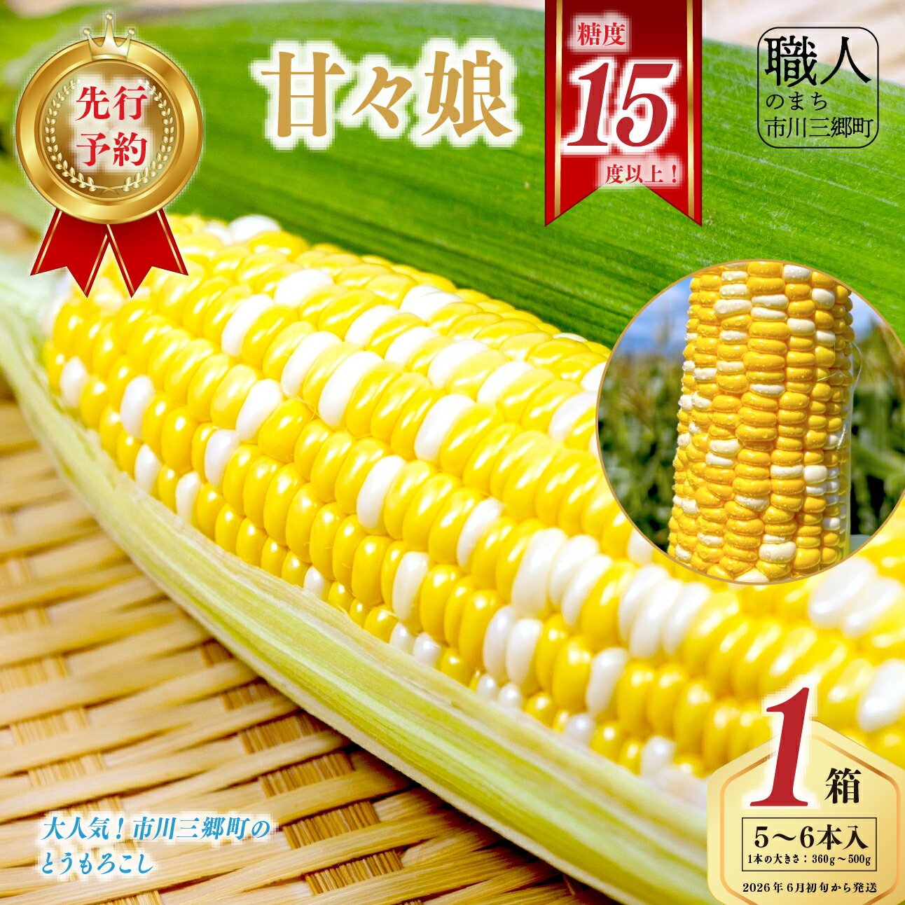 【ふるさと納税】 2026年 6月初旬から発送 市川三郷町産 とうもろこし 甘々娘 5〜6本入り 箱 株式会社 ICHI 市川三郷町産 トウモロコシ もろこし コーン スイートコーン 甘々娘 人気 野菜 ランキング 旬 季節 採れたて 朝採り[5839-2267]