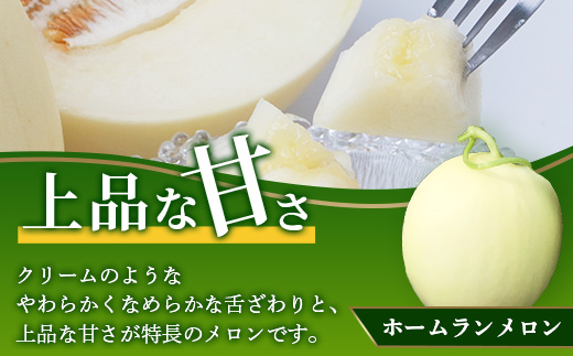 【2023年5月上旬発送開始】熊本県産 ホームランメロン アンデスメロン 食べ比べ 計5玉 約5kg 【 ホームラン アンデス メロン フルーツ 果物 くだもの 熊本県 多良木町 】 083-0624