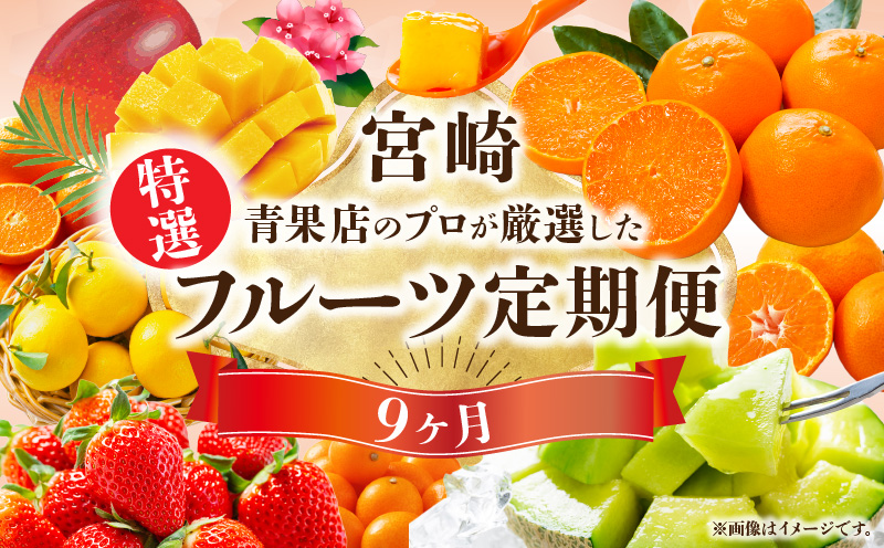 【数量・期間限定】特選！旬のフルーツ9ヶ月定期便vol.1 果物 フルーツ くだもの 定期便 フルーツ定期便 果物定期便 おすそ分け 贈り物 宮崎