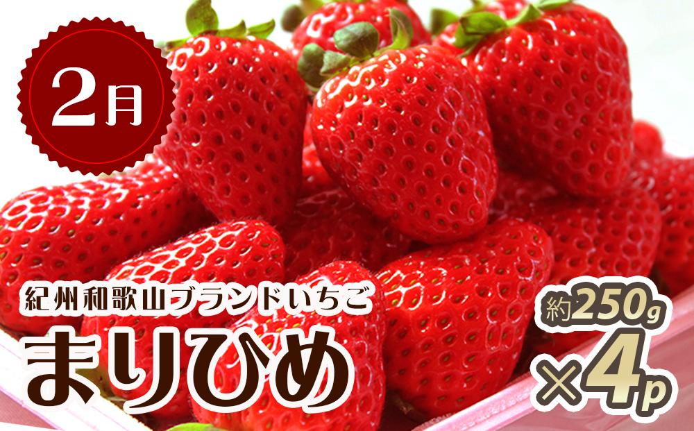 【2・7・12月 全3回】紀州和歌山産旬のフルーツセット（いちご・桃・有田みかん）定期便 【魚鶴商店】【UT70】