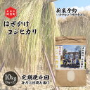 【ふるさと納税】 《先行予約》＜定期便4回＞ 米 10kg 新潟県産 コシヒカリ はざ掛け 天日干し 令和6年産 越後奥阿賀産 5kg×2袋 | 小会瀬 はざがけ こしひかり 一等米 送料無料 お取り寄せ お米 白米 精米 ※2024年10月中旬頃より順次発送