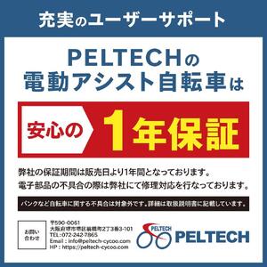 【100％完成納品】PELTECH（ペルテック）後チャイルドシート付子供乗せ適用電動アシスト自転車 20型内装3段 TDN-207LP-8 AH-CH【ブルーグレイ】