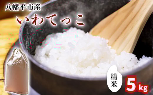 【令和7年産】 いわてっこ 精米 5kg ／ 中沢農産 こめ 米 コメ お米 おこめ ご飯 ごはん 白米 白飯 おにぎり お弁当 仕送り お取り寄せ 産地直送 農家直送 単一原料米 国産 国産米 東北 岩手県産 八幡平市産 おすすめ