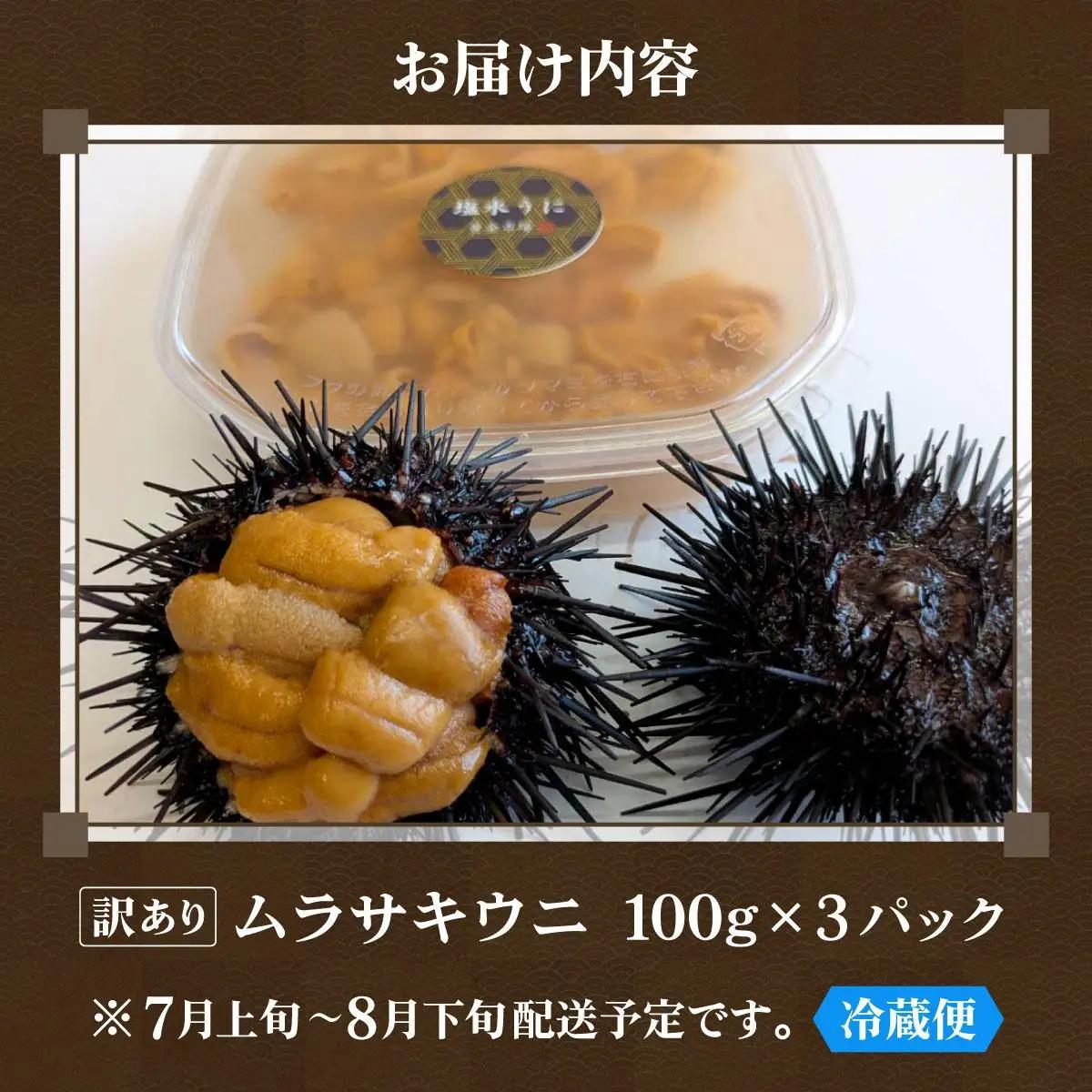 ＜先行予約＞ 北海道産 ムラサキウニ（訳あり）300g【ogm-041】