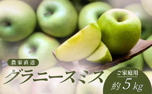 【2026年発送先行予約】りんご　グラニースミス ご家庭用 約5kg（12～20玉）※2026年10月～11月上旬発送予定※　農家直送　加工用　クッキングアップル