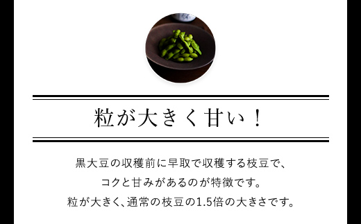 ★先行予約★【2025年10月発送！】丹波黒大豆の枝豆「黒ムラサキ」1㎏ / ふるさと納税 京野菜 野菜 丹波 黒大豆 枝豆 大粒 季節限定 数量限定 京都府 福知山市 FCDB037