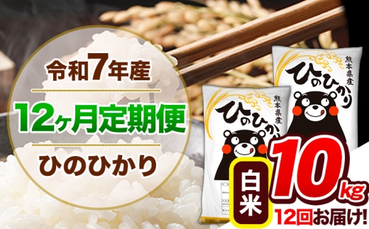 【12ヶ月定期便】 令和7年産 定期便 ひのひかり 10kg 《お申込み翌月から出荷》令和7年産 熊本県産 ふるさと納税 白米 精米 ひの 米 こめ ふるさとのうぜい ヒノヒカリ コメ 熊本米 ひのもり