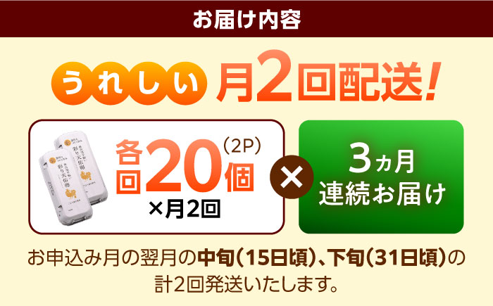 《月2回 × 20個 3ヶ月コース》 たたらの里平飼い 彩り天佑卵 全6回定期便 島根県雲南市/株式会社たなべたたらの里（たなべ森の鶏舎）｜たまご 卵 放牧卵 平飼い卵 新鮮 国産 定期便 [AIDL