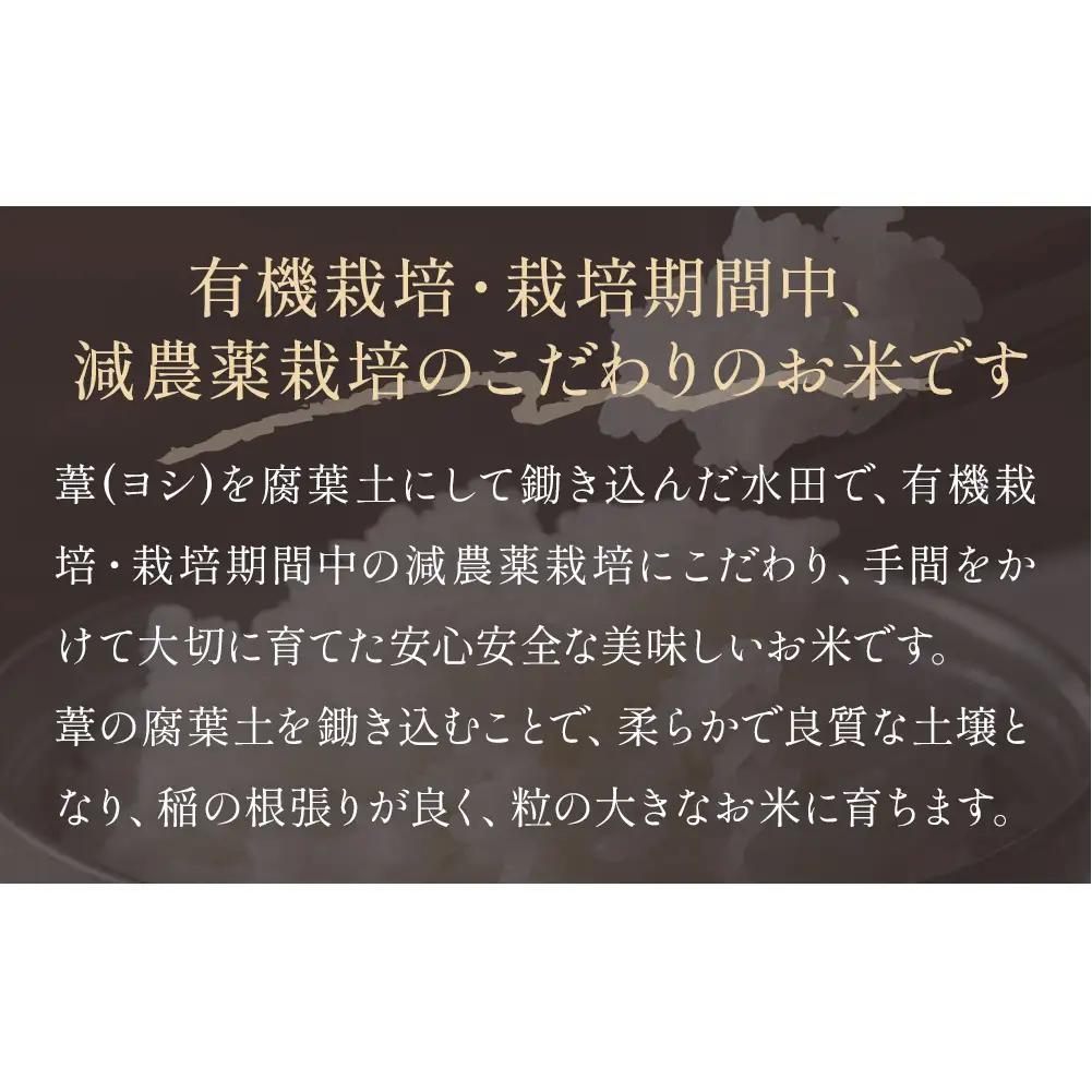 【1月配送】 ＜先行予約＞ 米 令和8年産 ひとめぼれ 精米 5kg 単品 新米 こめ コメ お米 ご飯 白米 ヒトメボレ 特別栽培米 減農薬栽培 ヨシ腐葉土米 ブランド米 国産 ごはん ライス お弁