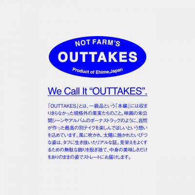 ふるさと納税 八幡浜市 【OUTTAKES】訳あり グリーンレモン 3kg【防腐剤・ワックス不使用】璃の香 【99-34】 |  | 01