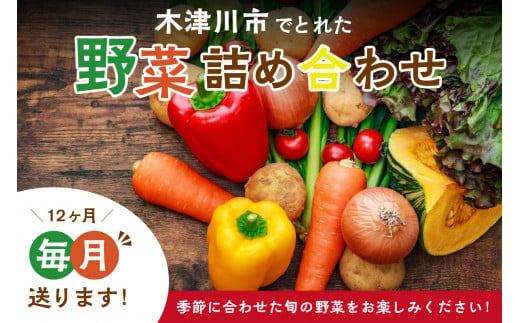 ＜京都産＞木津川市でとれた野菜詰め合わせを１２か月毎月送ります！ 野菜 やさい 詰め合わせ 定期便 野菜詰め合わせ 野菜定期便 新鮮 旬の野菜 季節の野菜 京野菜 産地直送 農産物直売所 12か月 12回【038-01】