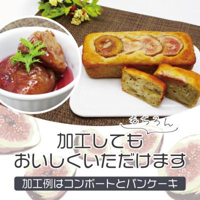 ふるさと納税 宮若市 訳あり冷凍いちじく「とよみつひめ」500g×4袋(2kg)(宮若市) |  | 02